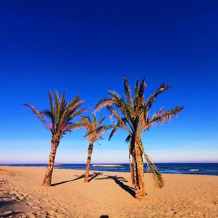 Cap De Mer - Vue Sur Mer - Une Chambre - Une Terrasse - Acces Direct Plage - Commerces A Proximites Le Barcarès エクステリア 写真
