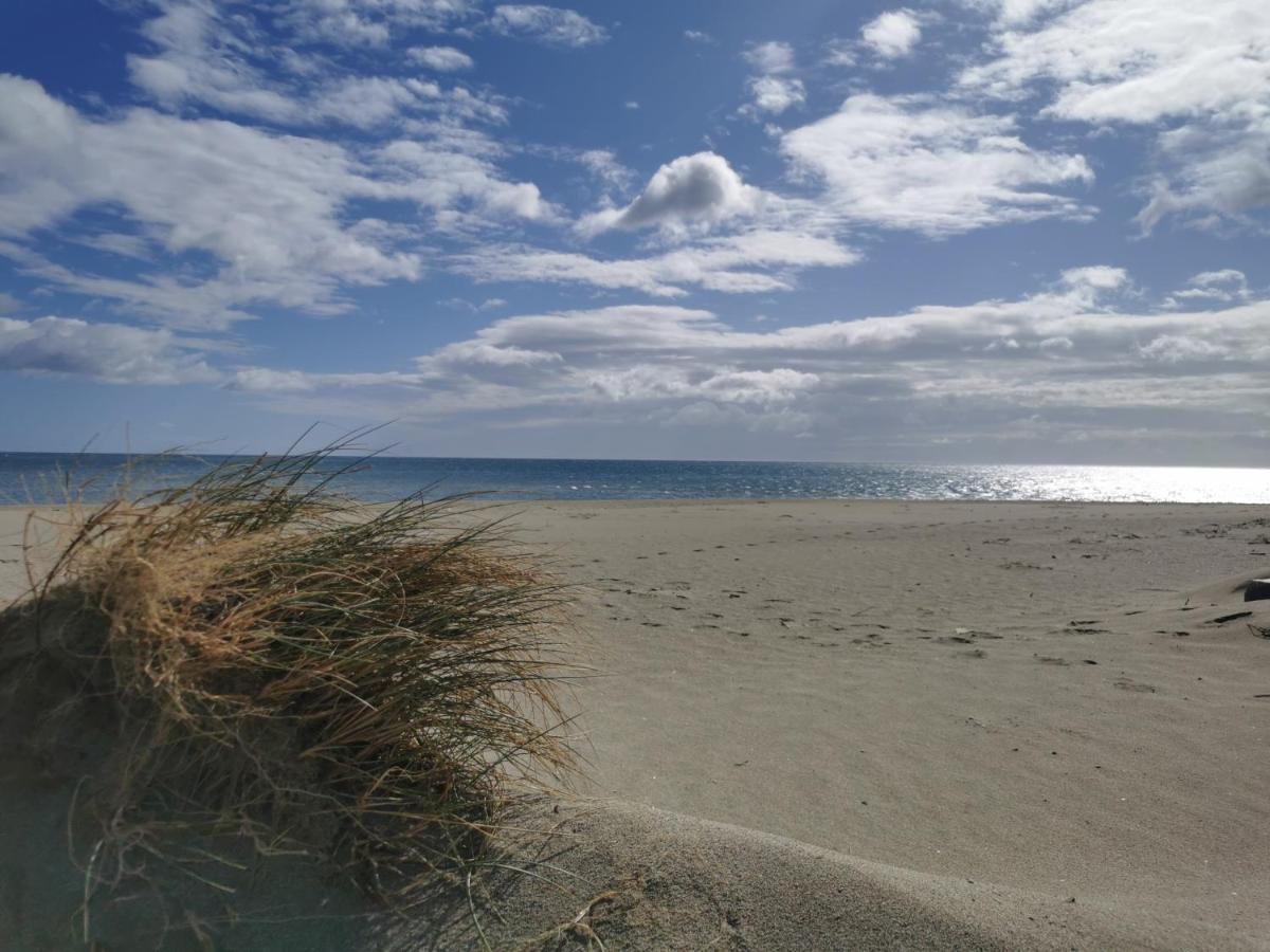 Cap De Mer - Vue Sur Mer - Une Chambre - Une Terrasse - Acces Direct Plage - Commerces A Proximites Le Barcarès エクステリア 写真