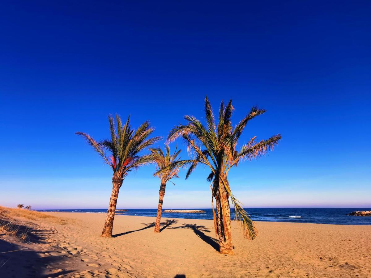 Cap De Mer - Vue Sur Mer - Une Chambre - Une Terrasse - Acces Direct Plage - Commerces A Proximites Le Barcarès エクステリア 写真